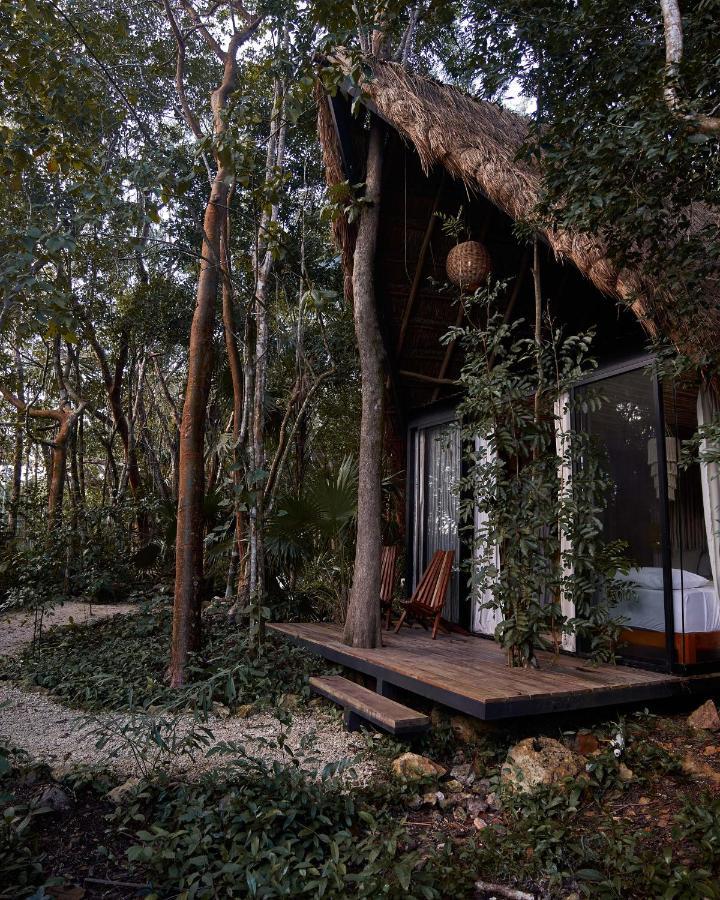 Kapok Bacalar - Plant Based Hotel Buenavista  Luaran gambar